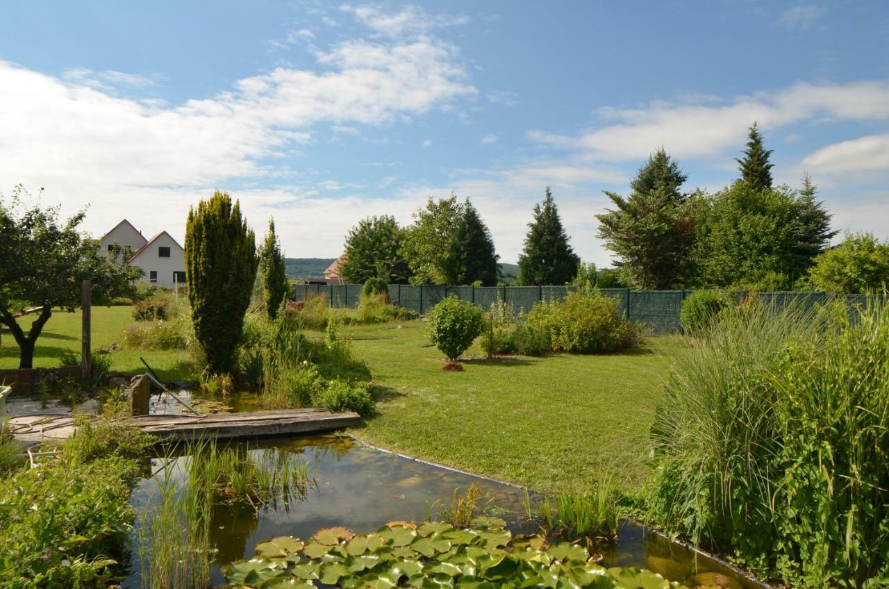 Gîte Cigogne Odratzheim Exterior foto